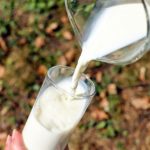 الحليب للتسمين وزيادة الوزن خلال وقت قياسي!